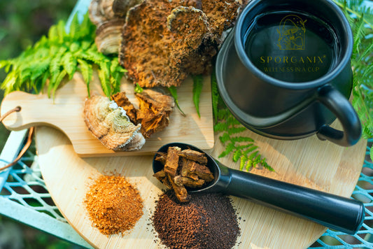 Sporganix mushroom coffee with fruiting body functional mushrooms