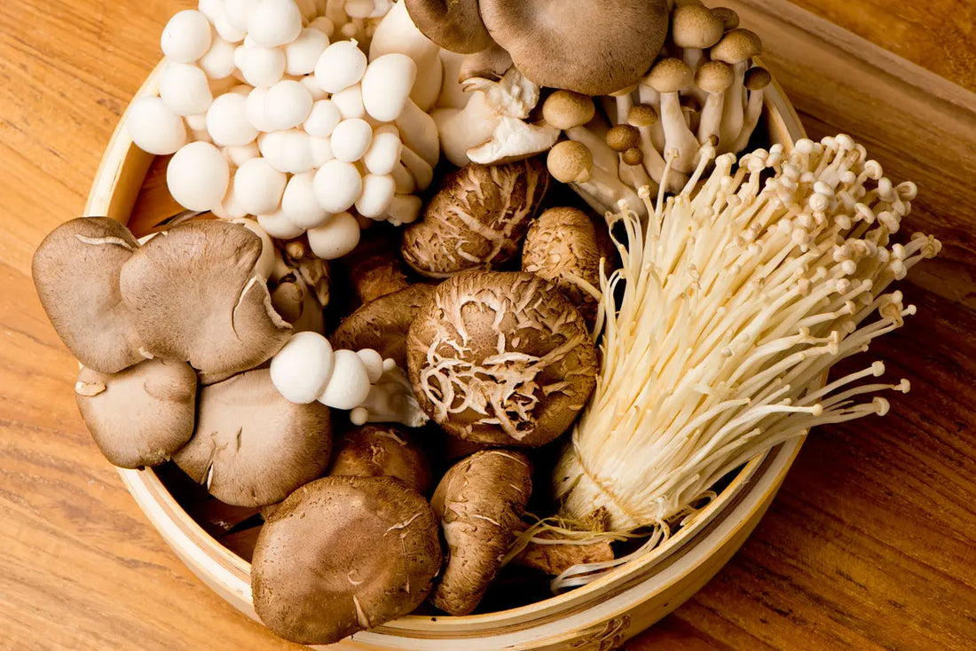 Scientific research papers and functional mushrooms like Chaga and Shiitake displayed together.