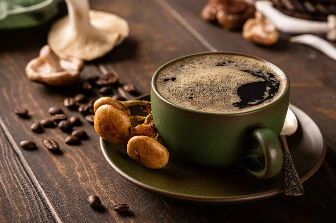 Comparison of mushroom coffee vs regular coffee benefits, including energy, focus, immune support, stress reduction, and daily performance.