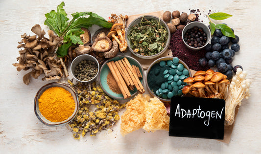 Adaptogen Drinks vs. Mushroom Coffee: What’s the Difference—and Which One’s Right for You?